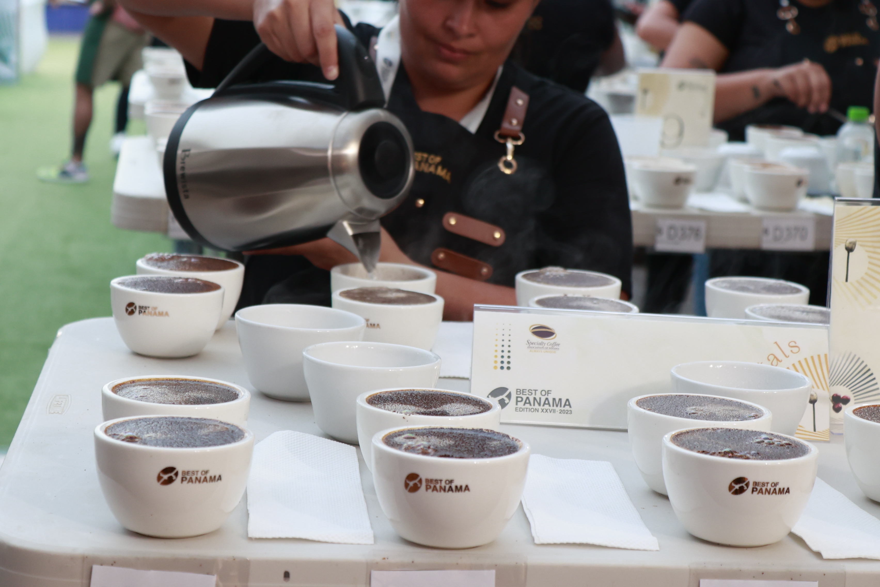 Inició la Cata Nacional del Mejor Café de Panamá