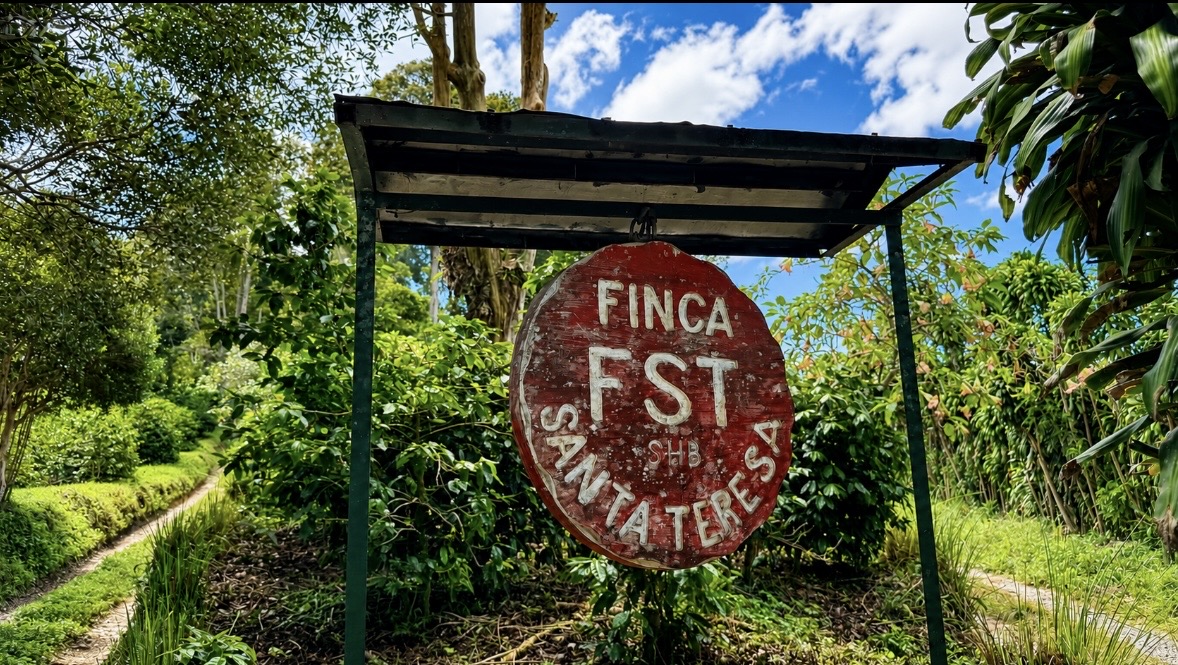 FINCA SANTA TERESA